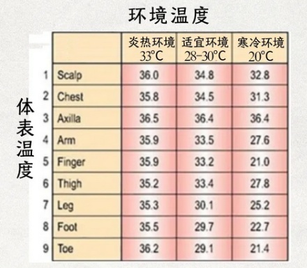 人的体温是37℃，为什么在35℃的气温下觉得很热而不是凉快？