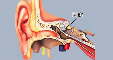 为啥《黑神话：悟空》越玩越想吐？