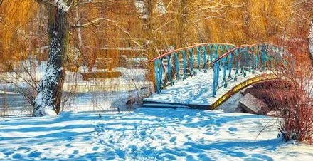 雪居然还分「新雪」和「旧雪」？