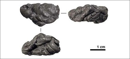 世界上最古老的口香糖多少年了？