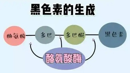 你有见过白色的「乌鸦」吗？