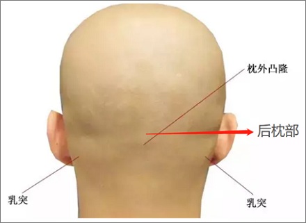 枪毙死刑犯到底是打关还是打心脏啊？