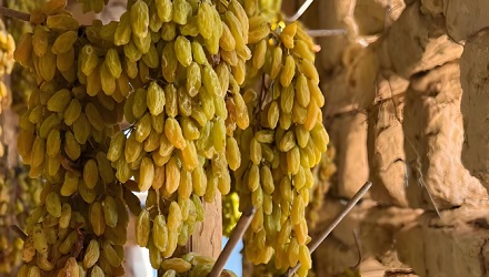 为什么阿富汗路边摆着很多土坯卖?