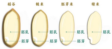 买到的大米为什么总是缺一角?