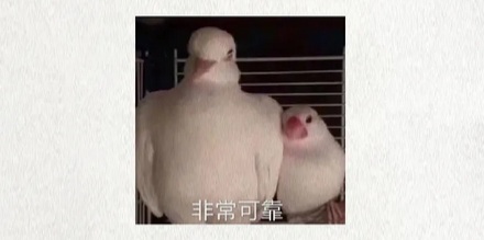 高压线上挂着的小锤锤是干什么用的?