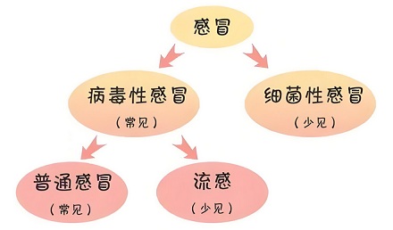 为什么夏天感冒比冬天难好？