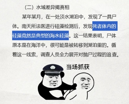 为什么法医要凭借水藻来判断是溺水还是谋杀?
