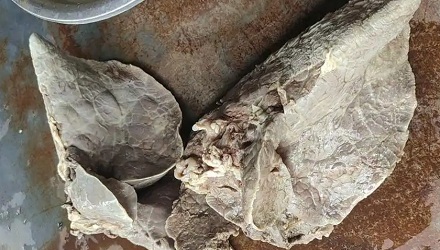 「夫妻肺片」里没有夫妻就算了，为什么连肺片都没有？