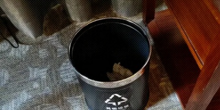 为什么高档酒店的垃圾桶不套垃圾袋?
