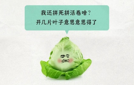 卷心菜为什么要把叶子卷起来，而不是展开进行光合作用？