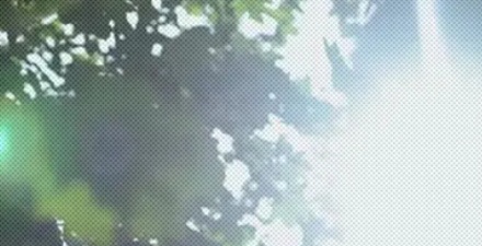 为什么在阳光下闭眼久了睁眼视野会变绿?