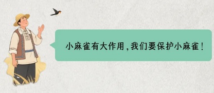 为什么麻雀没有灭绝风险,却还是国家保护动物?