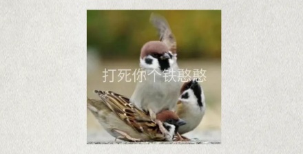 为什么麻雀没有灭绝风险,却还是国家保护动物?