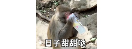 为什么蜜雪冰城的员工会哐哐往机器里倒「菜籽油」？