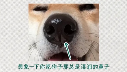明明成分一样，为什么洗澡时候放的屁就特别臭？