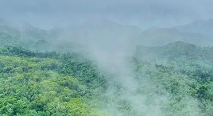 为什么山上会有流不完的水?山顶一直在下雨?