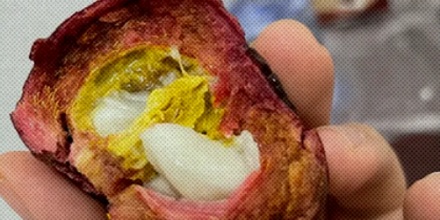 剥开的山竹里有「黄色粑粑」还能吃吗?