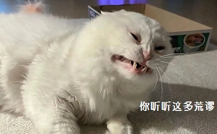 水果软糖为什么是「荤」食？