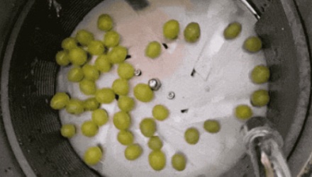 水晶葡萄到底是怎么大批量剥皮的?