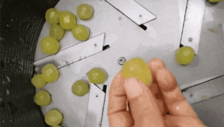 水晶葡萄到底是怎么大批量剥皮的?