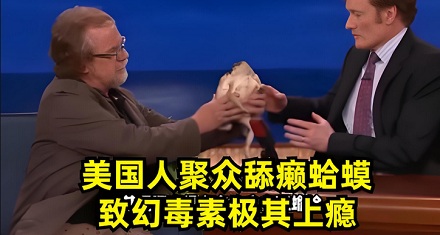 为什么舔一口蛤蟆,心情会突然变好?