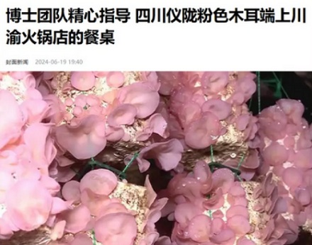 饭店的辣椒炒肉里，为什么定要放白木耳？