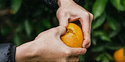 在夏天的阳光下剥橙子,为什么是作死?
