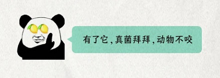 在夏天的阳光下剥橙子,为什么是作死?