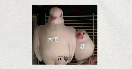 为什么飞机上的氧气面罩只能用 15 分钟?