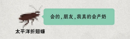 蟑螂不会产奶,比牛奶更营养的「蟑螂奶」是怎么来的?