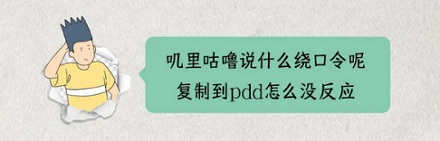 蟑螂不会产奶,比牛奶更营养的「蟑螂奶」是怎么来的?