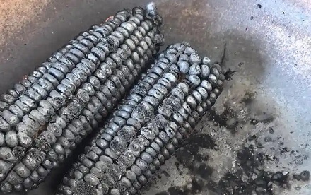 死前吃玉米粒，火葬时骨灰里会有爆米花吗？