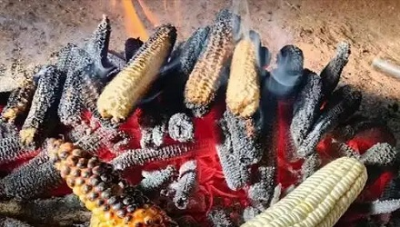 死前吃玉米粒，火葬时骨灰里会有爆米花吗？