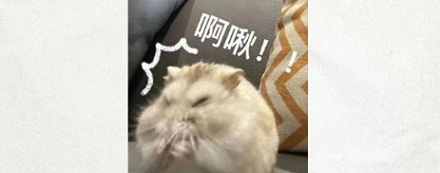 为什么说春天要小心那些看起来「不会开花的树」？