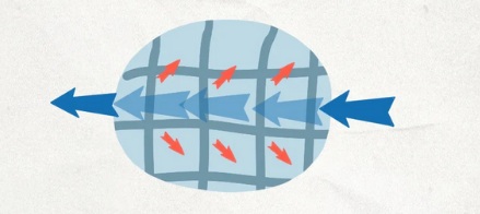 同样是蛋，为什么鸡蛋煮后蛋清是白色的，而鸽子蛋却是半透明的？