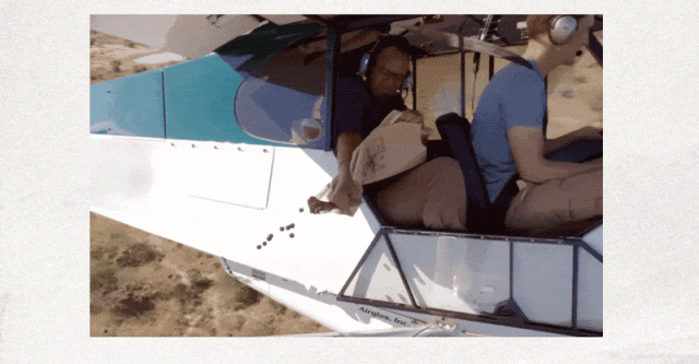 肯尼亚人为什么要在全国到处扔黑色小球？