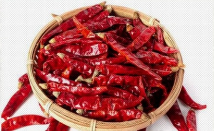 为什么皮越皱，辣椒越辣？