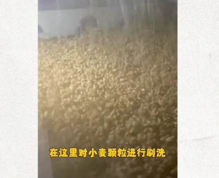 面粉不是干的吗，为什么配料表里却有「水」？