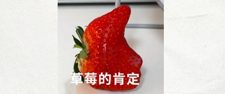 奇形怪状的草莓是打了药的吗？能不能吃？