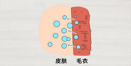 为什么给衣服袖口夹燕尾夹能防静电？