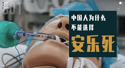 为什么国家不允许安乐死？