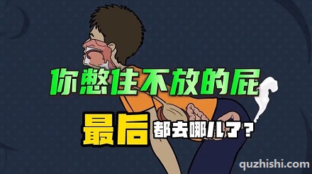 憋住不放的屁最后都去哪儿了？