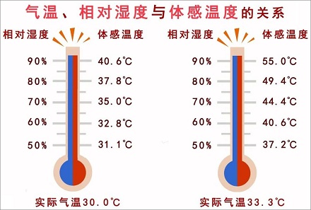 为什么人的体温会忽高忽低？